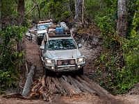 Old Telegraph Cypress creek log bridge-9357